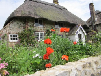 Photo of Thatched Cottage